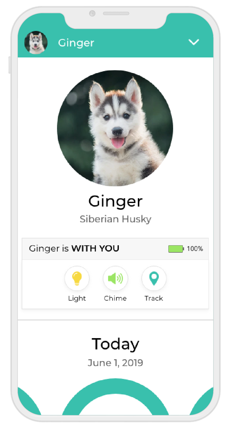 Ginger Activity 01