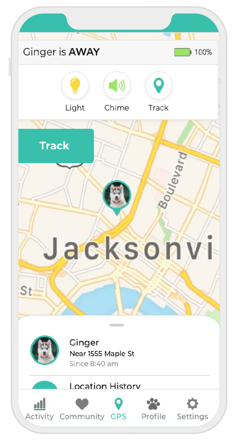 Ginger Gps 01